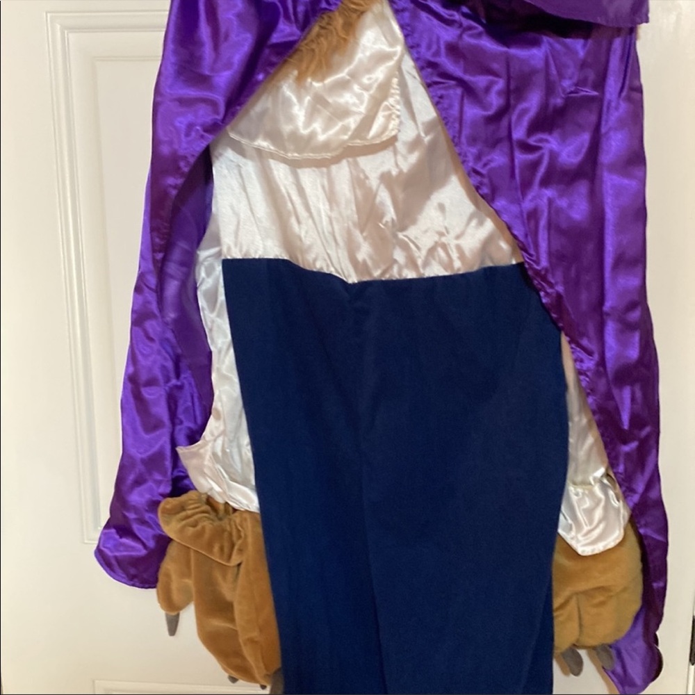 Disney Beast from Beauty and the beast costume Size large (child) - Picture 8 of 11